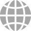 globe icon